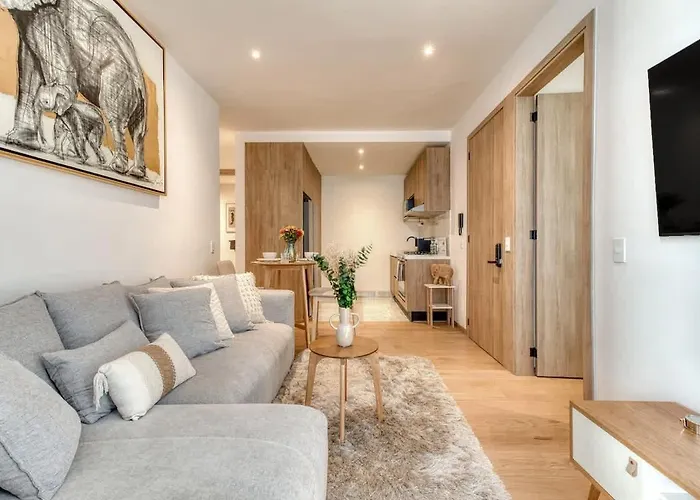 Roma Norte 2br Rooftop Cinema Gym & Grill Apartment